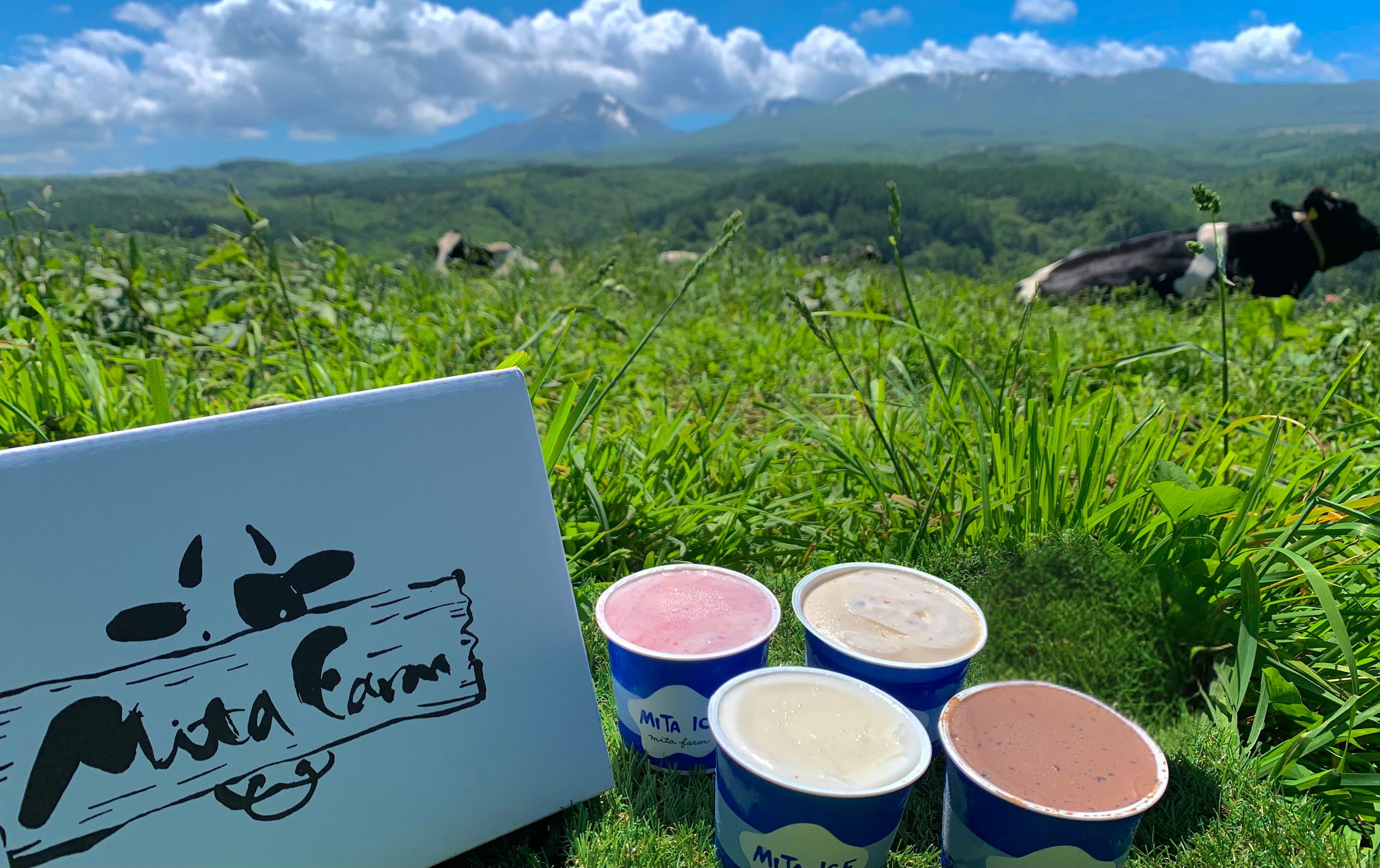 北のハイグレード食品2020」受賞！ 三田牧場 三田アイス 幸せギフト